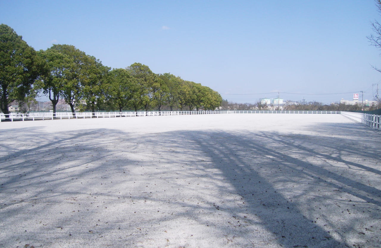 あきる野市特設国体 馬術競技場